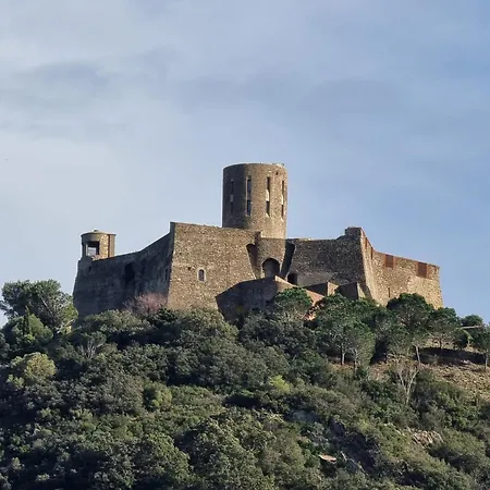 Appartement Pour 6 Avec Terrasse A Collioure, Proche - Fr-1-309-261 *