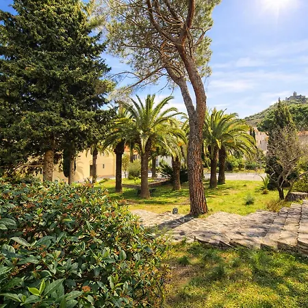 Pour 6 Avec Terrasse A Collioure, Proche - Fr-1-309-261 *