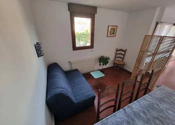 Apartment Pour 6 Avec Terrasse A Collioure, Proche - Fr-1-309-261 Collioure