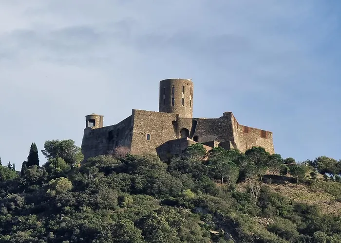Apartment Pour 6 Avec Terrasse A Collioure, Proche - Fr-1-309-261 *